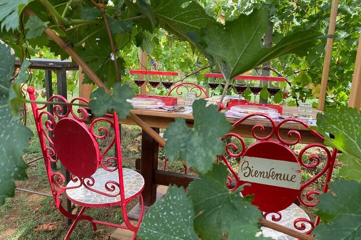 Tuscan Wine Tour in Lucca by van