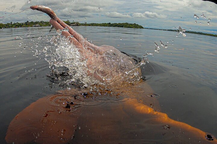 Amazon Adventure Trip 4D/3N at Tapiri Anavilhanas Lodge
