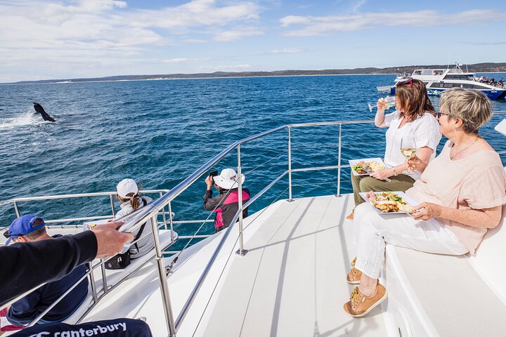 Freedom Whale Watch Cruise - Hervey Bay