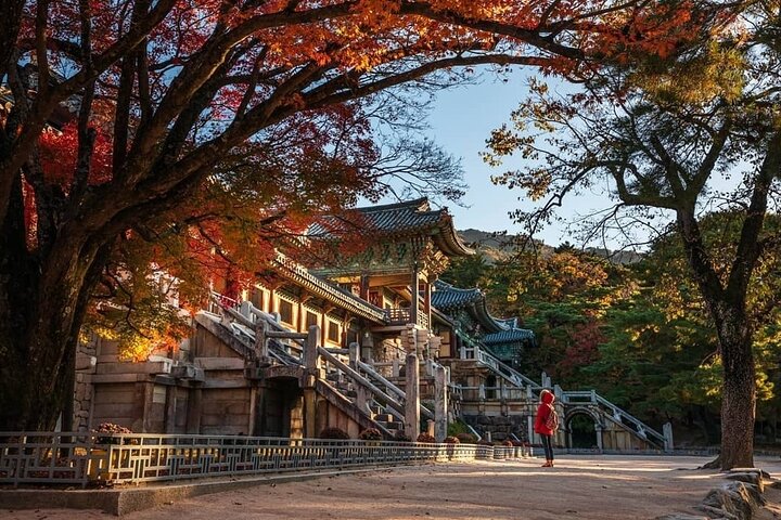 Private Gyeongju Tour - Explore Gyeongju UNESCO Sites