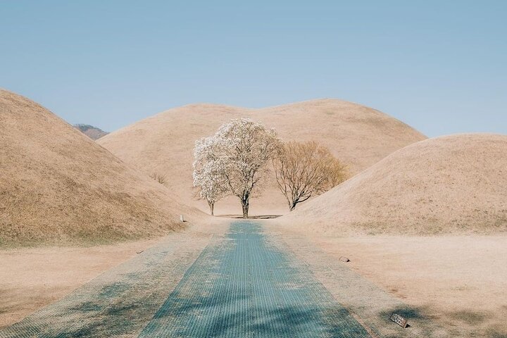 Private Gyeongju Tour - Explore Gyeongju UNESCO Sites