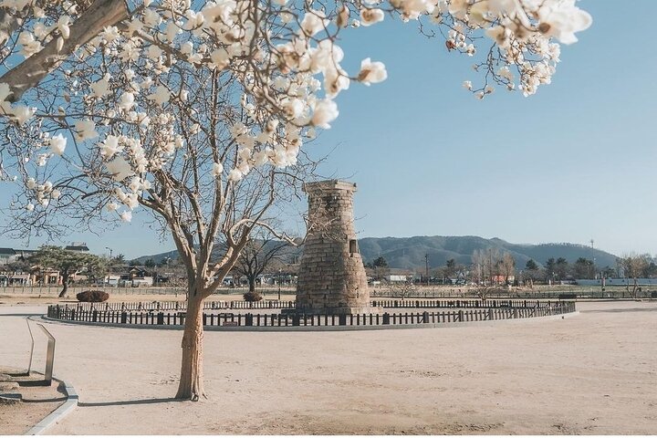 Private Gyeongju Tour - Explore Gyeongju UNESCO Sites
