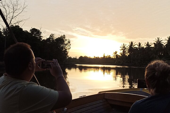 Private Proboscis Monkey and Firefly Tour