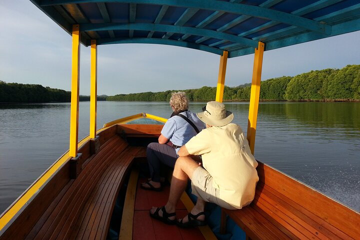 Private Proboscis Monkey and Firefly Tour