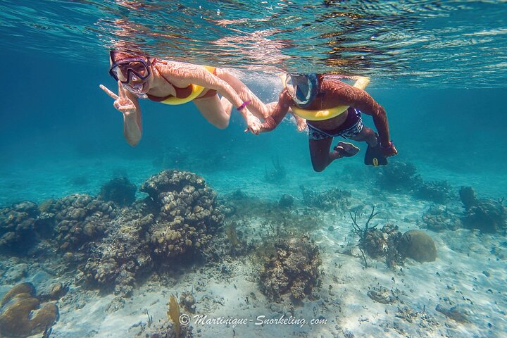 Aquanauts Outing Boat Hiking Palmée Coral Discovery