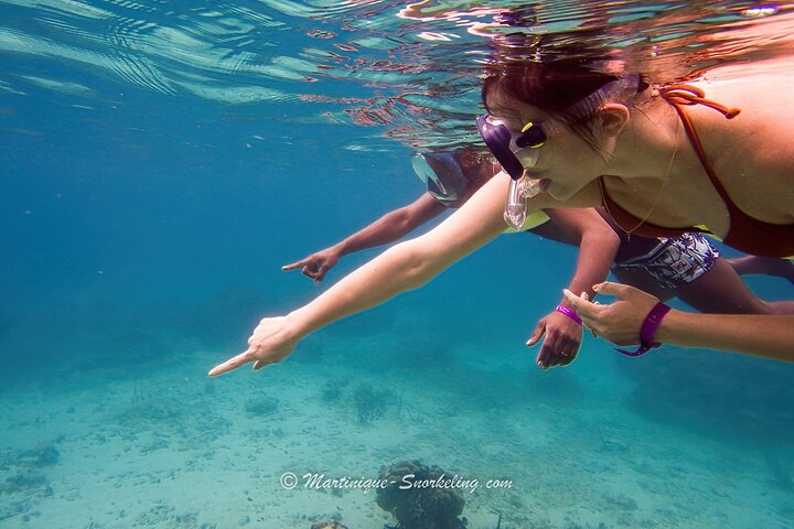 Aquanauts Outing Boat Hiking Palmée Coral Discovery