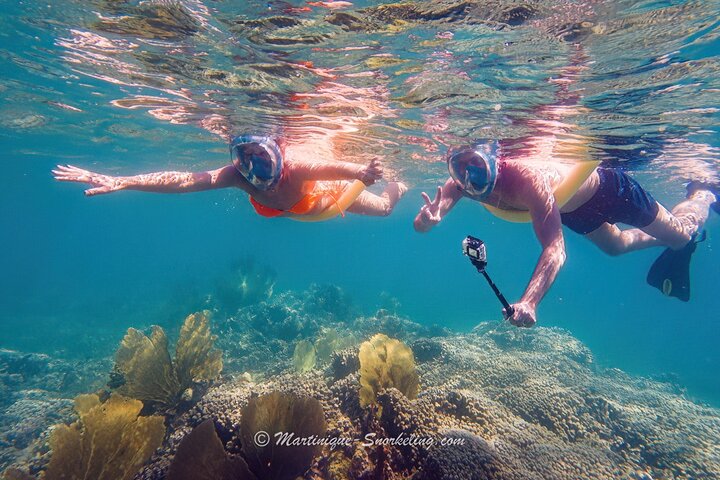 Aquanauts Outing Boat Hiking Palmée Coral Discovery