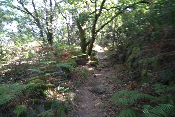 Breathtaking Nature in Gerês Park - Private tour from Porto