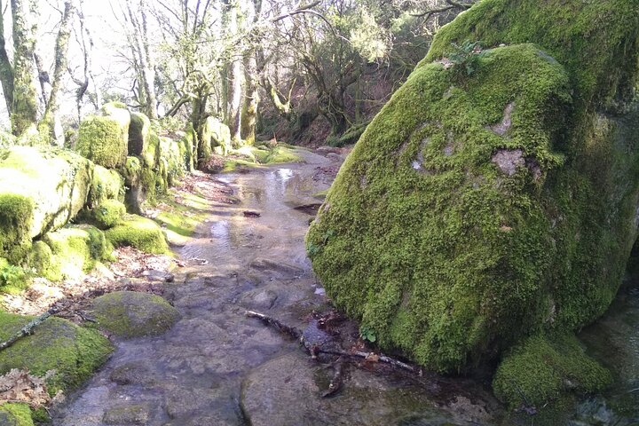 Breathtaking Nature in Gerês Park - Private tour from Porto