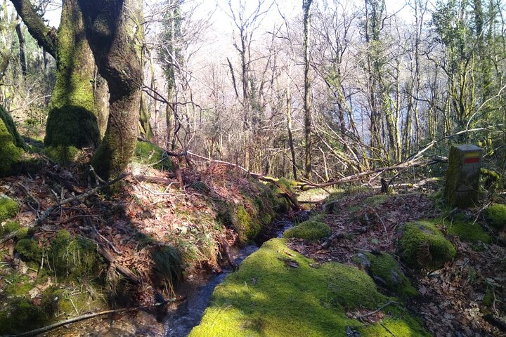 Breathtaking Nature in Gerês Park - Private tour from Porto