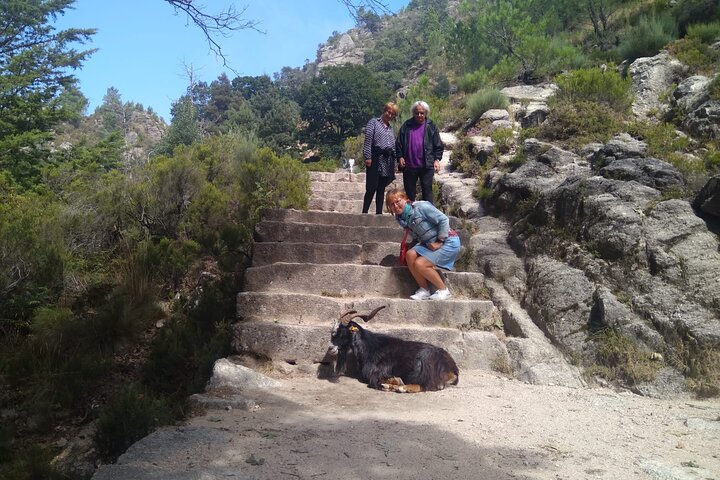 Breathtaking Nature in Gerês Park - Private tour from Porto