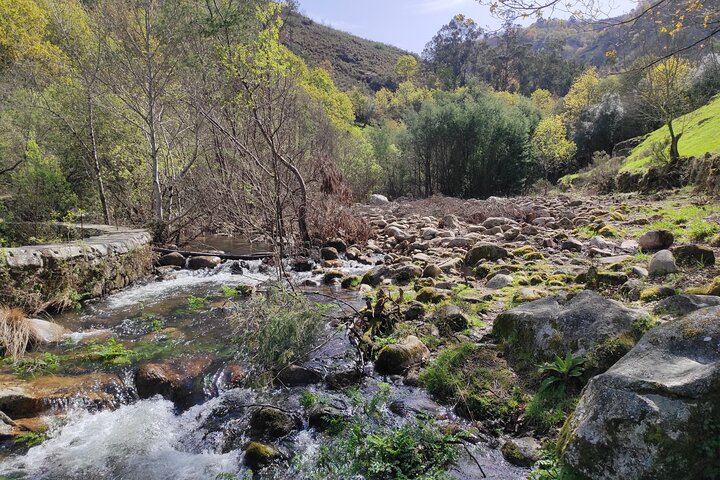 Breathtaking Nature in Gerês Park - Private tour from Porto