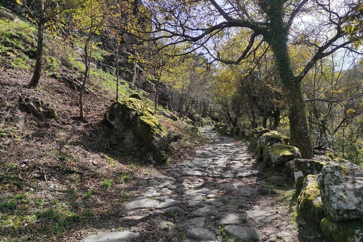 Breathtaking Nature in Gerês Park - Private tour from Porto
