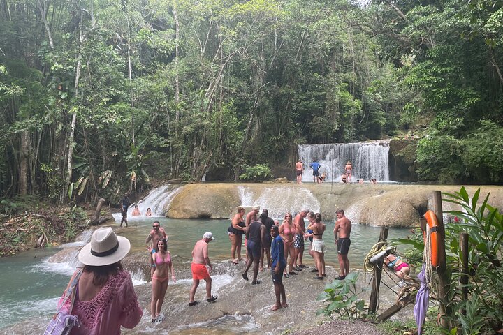 YS Falls Half Day Tour