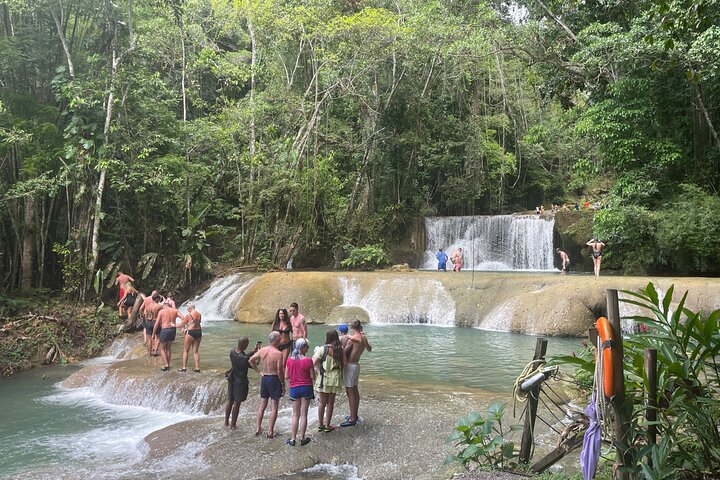 YS Falls Half Day Tour