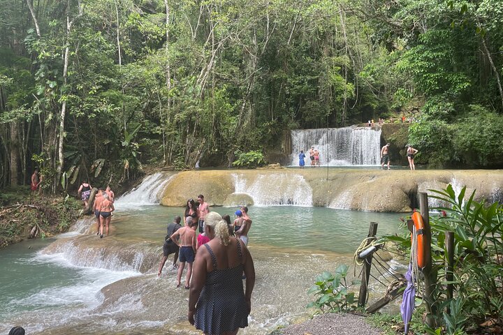 YS Falls Half Day Tour