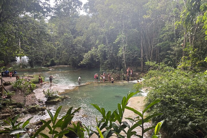 YS Falls Half Day Tour