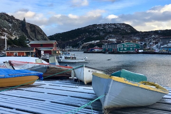 Best of St. John’s Small Group Tour with Cape Spear & Signal Hill