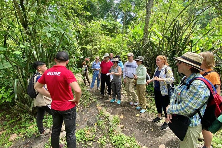 Rainforest Wildlife, Panama Hat makers, Traditional Cuisine. SHORE TOUR