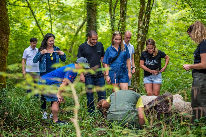 Truffle hunting & cooking tour