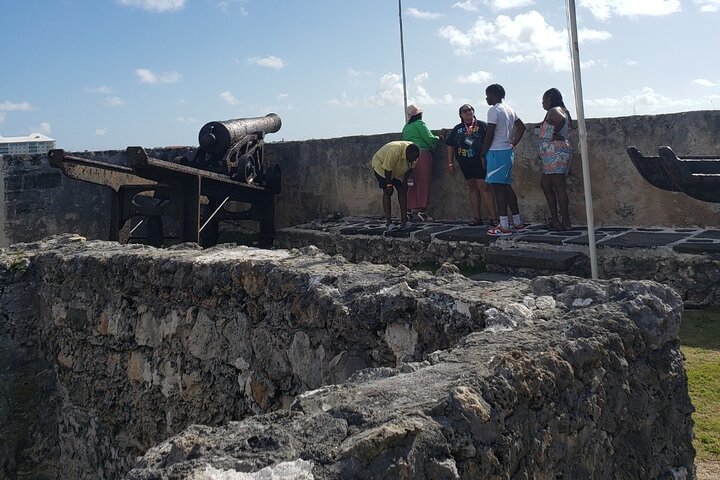 Nassau's Half Day Bus City Tour: Guided Tour with Free Samples