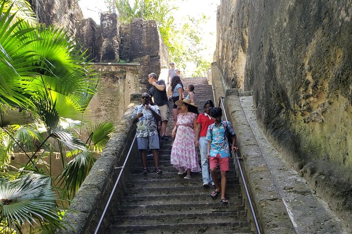 Nassau's Half Day Bus City Tour: Guided Tour with Free Samples