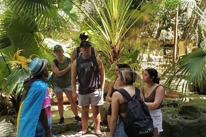 Nassau's Half Day Bus City Tour: Guided Tour with Free Samples