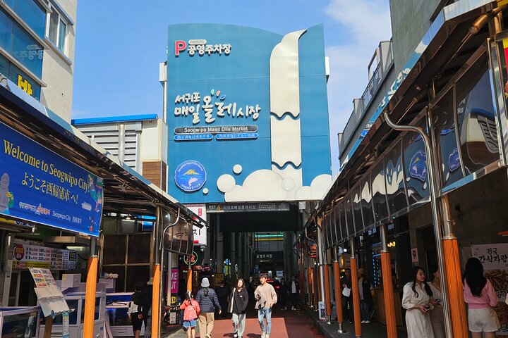 Private Tour South and West Jeju Island with Experienced Driver