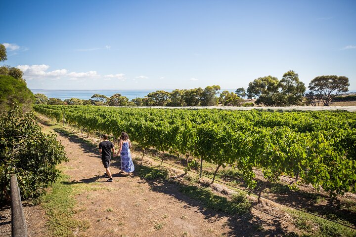 Hop On Hop Off Bellarine Bellarine Peninsula