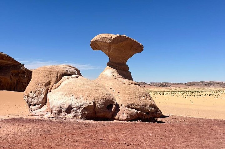 From Amman: Petra and Wadi rum Private/Group Full day Tour