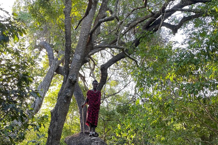 From Selous: Nyerere Bushwalk Activity in Tanzania