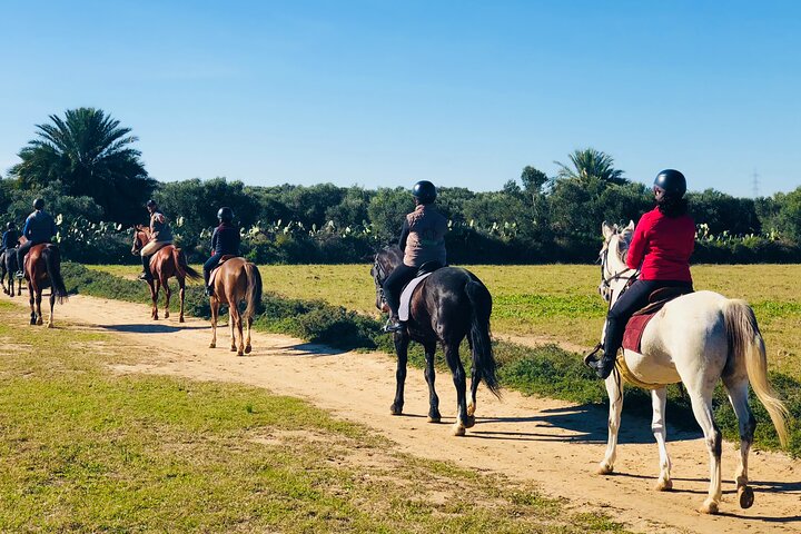 Horseback riding with private transfer