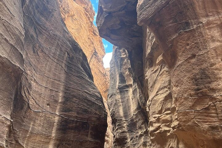 From Amman: Petra and Wadi rum Private/Group Full day Tour