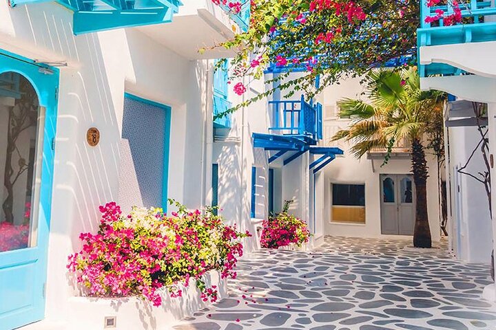Private Day Trip Tunis Carthage Sidi Bou Said