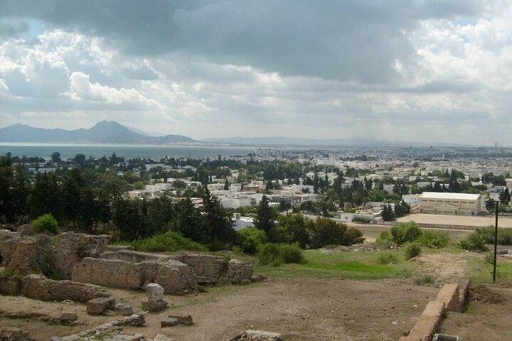 Private Day Trip Tunis Carthage Sidi Bou Said