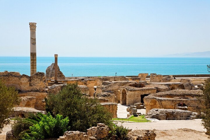 Private Day Trip Tunis Carthage Sidi Bou Said