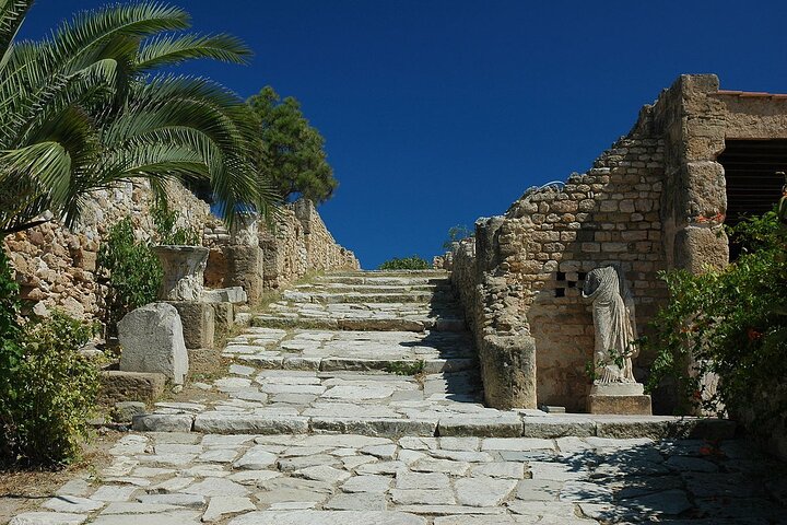 Private Day Trip Tunis Carthage Sidi Bou Said