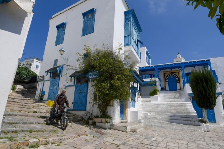 Private Day Trip Tunis Carthage Sidi Bou Said