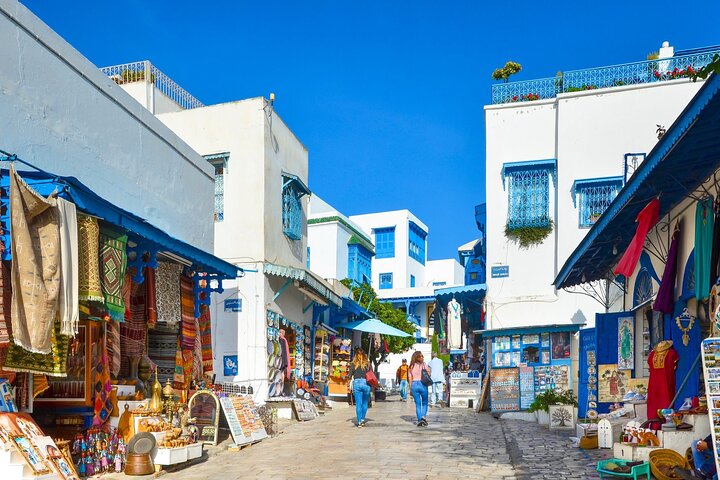 Private Day Trip Tunis Carthage Sidi Bou Said