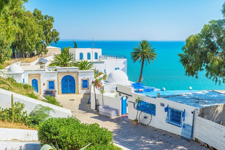 Private Day Trip Tunis Carthage Sidi Bou Said