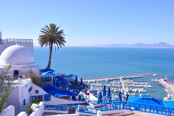 Private Day Trip Tunis Carthage Sidi Bou Said