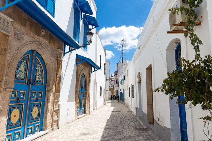 Private Day Trip Tunis Carthage Sidi Bou Said