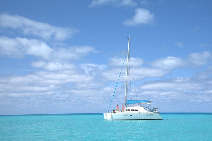 Private Catamaran charter Swim sail snorkel cliff jumping SUP