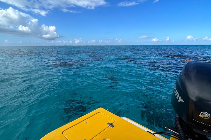 Private Boat Tours: Customize Your Grand Cayman Adventure!