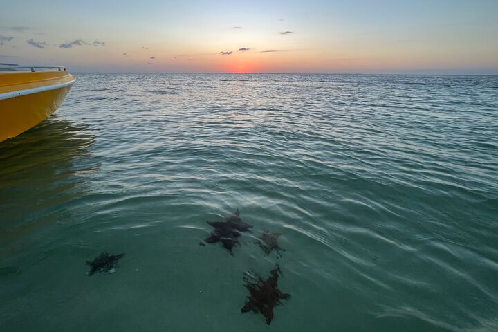 Private Boat Tours: Customize Your Grand Cayman Adventure!