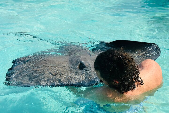 Private Boat Tours: Customize Your Grand Cayman Adventure!