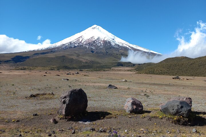 Strenuously Cotopaxi Volcano and birding by the lagoon
