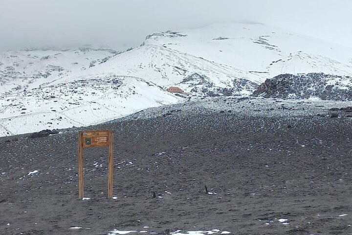 Strenuously Cotopaxi Volcano and birding by the lagoon