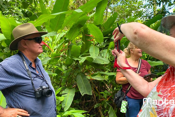 The rain forest, surroundings & lunch.