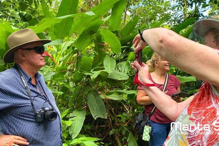 Montecristi & The Rain Forest